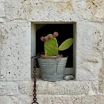 Pietra Pesara Locorotondo