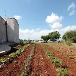 Pietra Pesara Bed & Breakfast