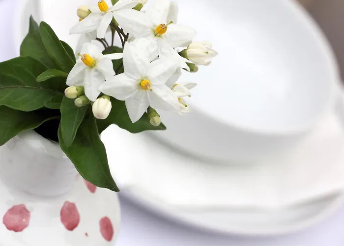 Bed and Breakfast Pietra Pesara