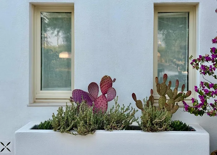 Pietra Pesara Bed and Breakfast Locorotondo