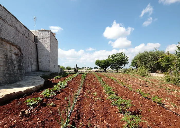 Pietra Pesara Bed and Breakfast
