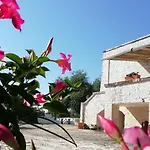 Pietra Pesara
