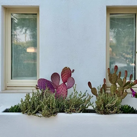 Pietra Pesara Bed & Breakfast Locorotondo