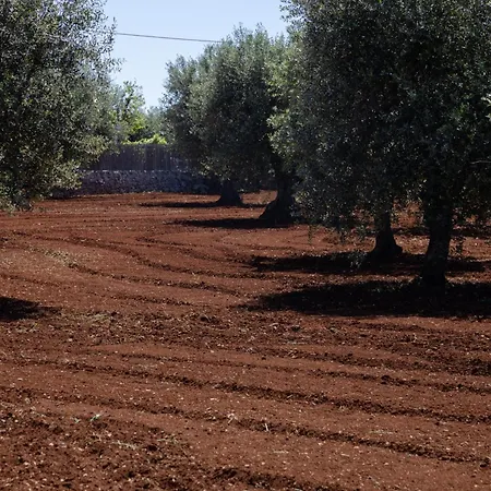 Pietra Pesara 4*