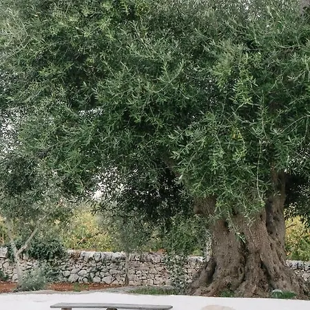 Pietra Pesara 4*