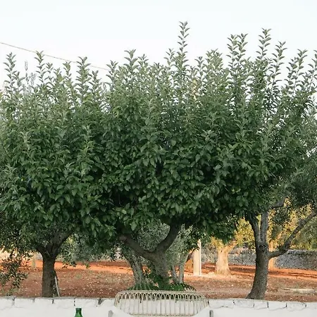 Pietra Pesara Bed & Breakfast Locorotondo